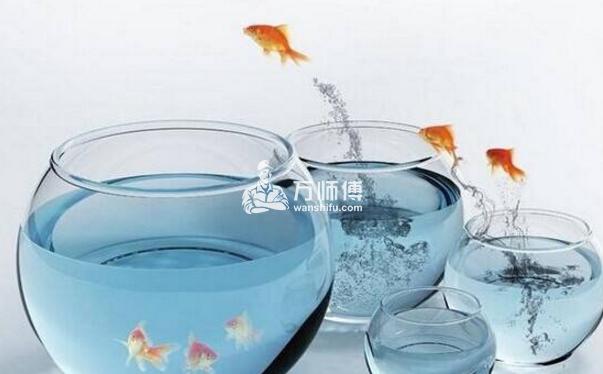 养鱼风水禁忌,解说室内养鱼攻略,化解厄运招好运!
