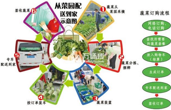 蔬菜配送流程生鲜蔬菜物流配送方案