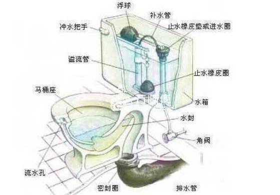 办法一:购买一个简易通厕器,往蹲便器倒满水,然后用通厕器吸盆对准蹲