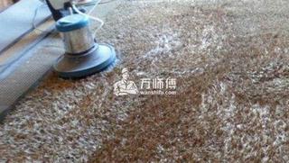 地毯尿渍如何清洗,先找后清理,方法就在这里!