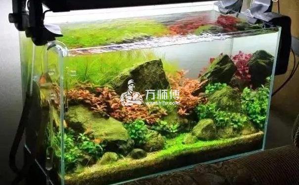 https://qncdn.wanshifu.com/25b755d67167d6b6a90d69ceb7aadfbb