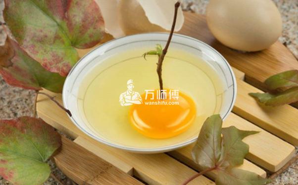 家具去污小窍门,采用生活食材,有效无处多种污渍！