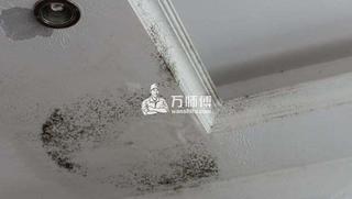 天花板發霉肯定難看,師傅告訴你怎么處理