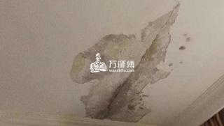 夏季房屋漏水渗水怎么办? 房屋漏水渗水解决办法