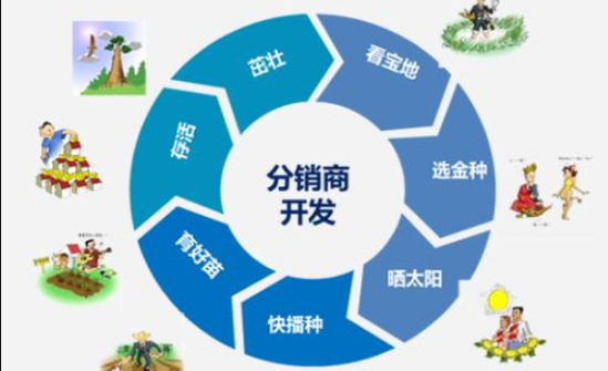 如何寻找分销商优质分销商的选择标准是什么