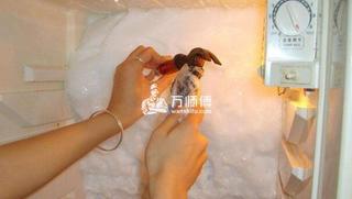 最新公告,容声冰箱冷藏室结冰是什么原因