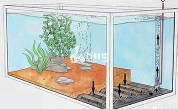 https://qncdn.wanshifu.com/6a8827a58d1e5f7bc5039fa1f3b050ff