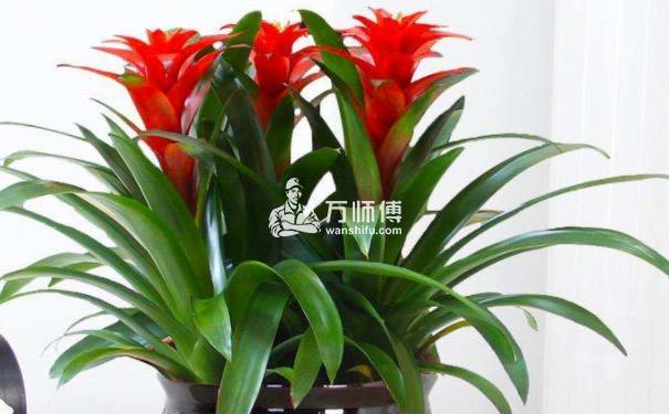https://qncdn.wanshifu.com/7914d12b6f9cacb828f0a2a23444b8f5