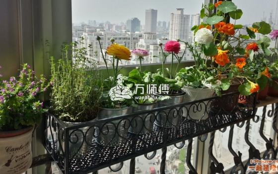 https://qncdn.wanshifu.com/8a9e4ced9b372425f3676443a06066ed
