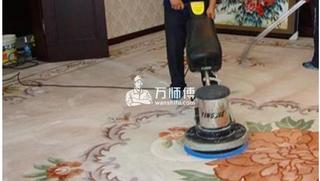 地毯新尿渍如何清洗,这方法有效吗?