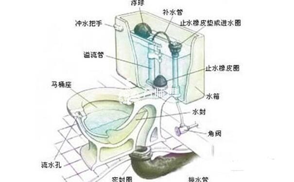 抽水马桶结构图及工作原理介绍 马桶下水慢 下水不畅修理方法 万师傅