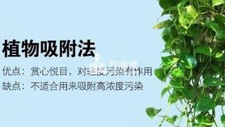 室内空气污染治理方案:原因、方法全解析