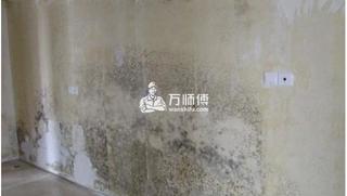 墻體發霉怎么處理 墻體發霉處理方法