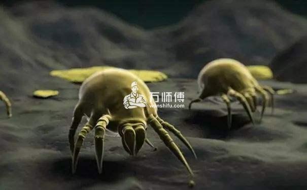 https://qncdn.wanshifu.com/baab209d35c4bff519903fcb4ff1a49d