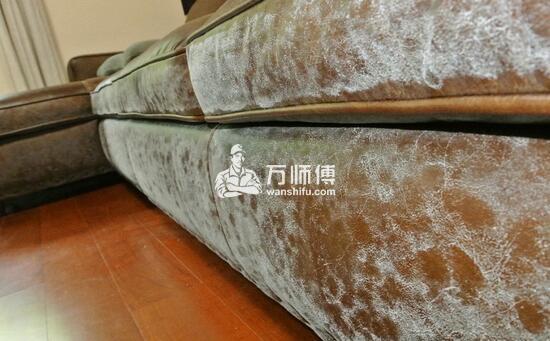 休闲布艺沙发发霉了，怎么办？