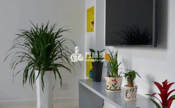 https://qncdn.wanshifu.com/bc5a26d8e3ff2bdc82fed6628128f94f
