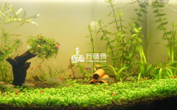 https://qncdn.wanshifu.com/cda108b0e428aa41d30cf42c31657f3e