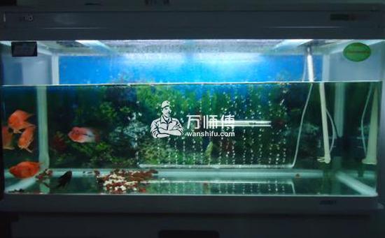 https://qncdn.wanshifu.com/d4a696f596e5263501a774ba943ae2dc
