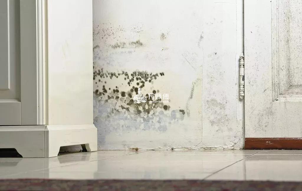 墙壁发霉怎么处理墙面起皮霉点