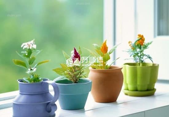 https://qncdn.wanshifu.com/d9e0e82b07beb6b60beea467cf44ed18