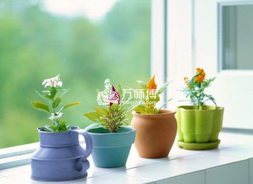 https://qncdn.wanshifu.com/f35273e2242b97ad46d077a3fdda5f3c